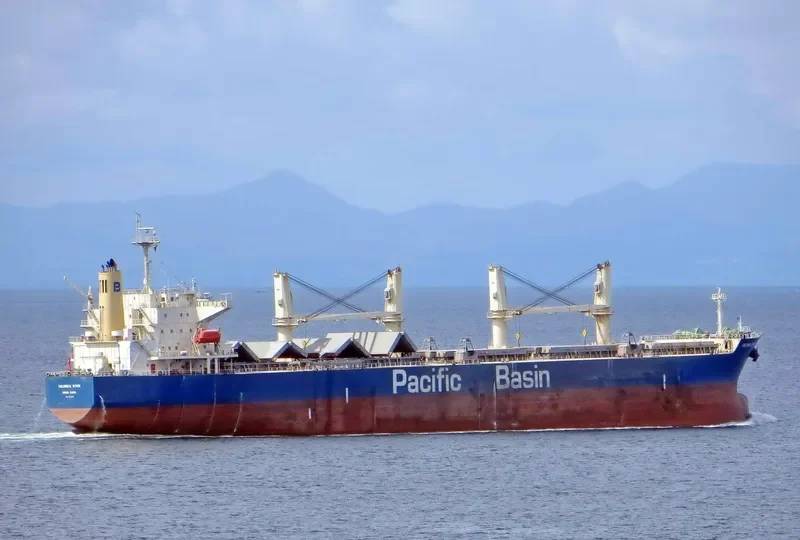 COLUMBIA RIVER Bulk Carrier IMO 9331907 photo 4