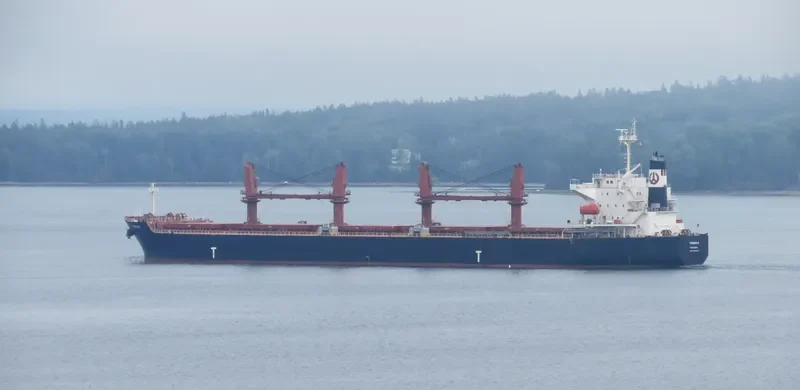 TAXIDIARA Bulk Carrier IMO 9331919