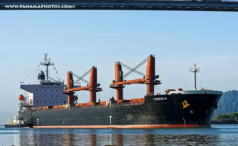 TAXIDIARA Bulk Carrier IMO 9331919 photo 3