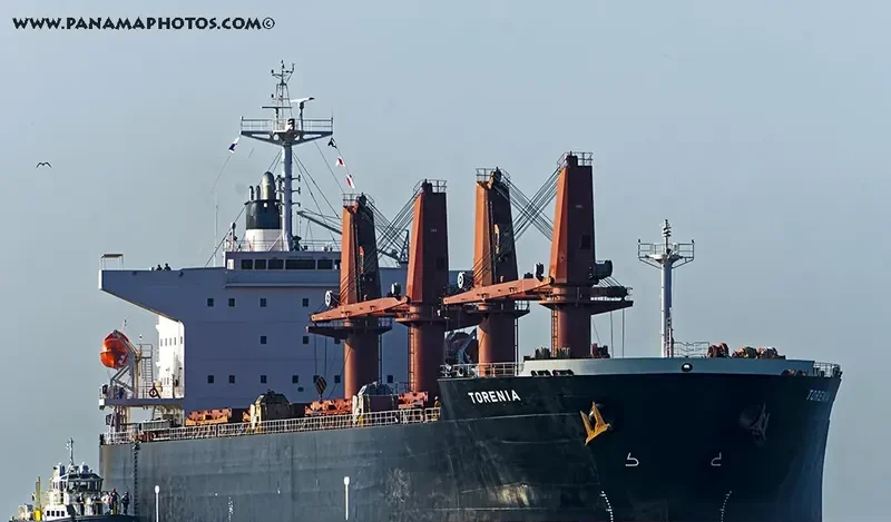 TAXIDIARA Bulk Carrier IMO 9331919 photo 4