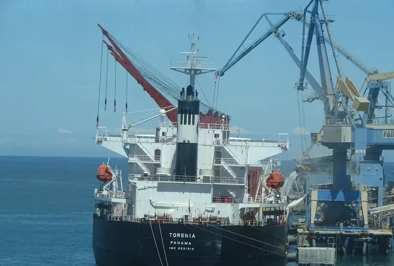 TAXIDIARA Bulk Carrier IMO 9331919 photo 6