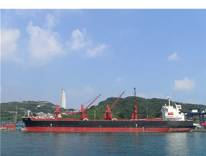 TAXIDIARA Bulk Carrier IMO 9331919 photo 7