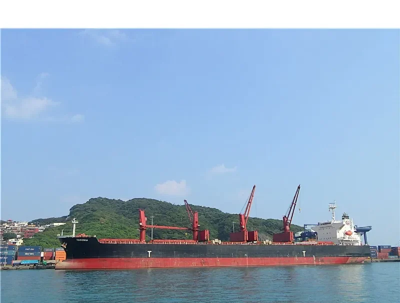 TAXIDIARA Bulk Carrier IMO 9331919 photo 8