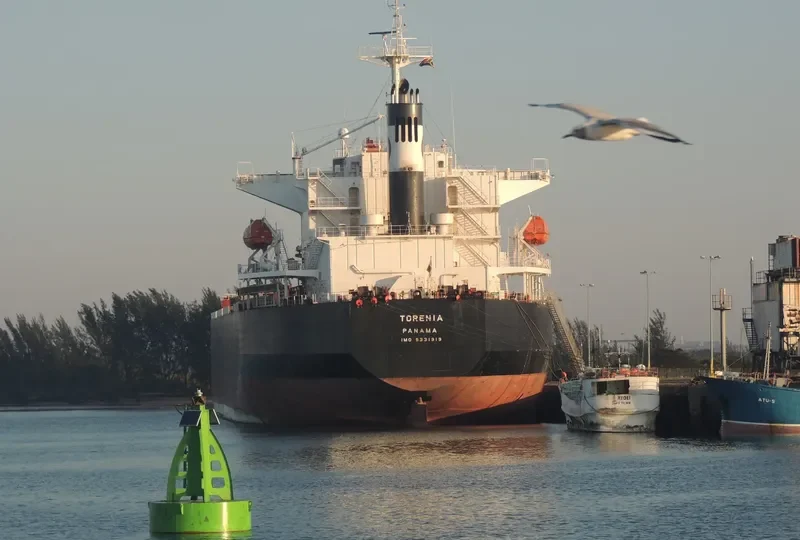TAXIDIARA Bulk Carrier IMO 9331919 photo 10