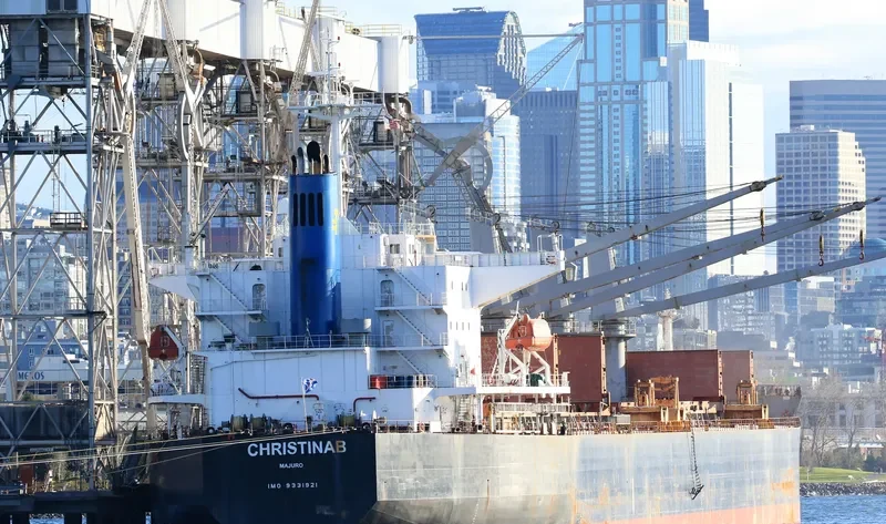 CHRISTINAB Bulk Carrier IMO 9331921