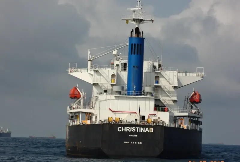CHRISTINAB Bulk Carrier IMO 9331921 photo 2