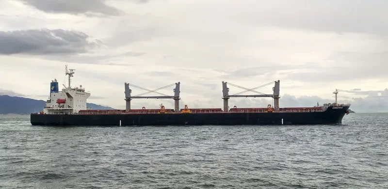 CHRISTINAB Bulk Carrier IMO 9331921 photo 3