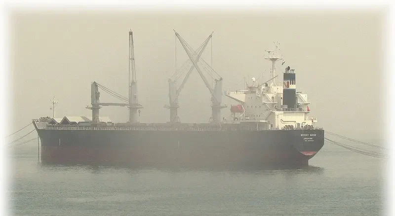 CHRISTINAB Bulk Carrier IMO 9331921 photo 7