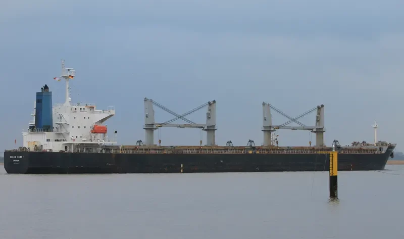 BAO CHUAN Bulk Carrier IMO 9331933 photo 4