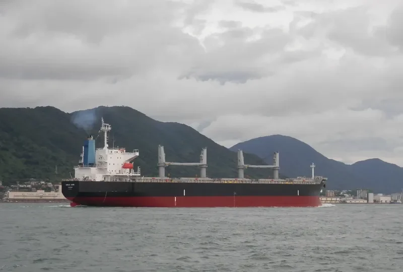 BAO CHUAN Bulk Carrier IMO 9331933 photo 7
