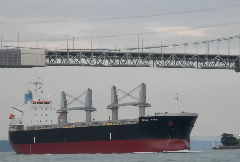 BAO CHUAN Bulk Carrier IMO 9331933 photo 9