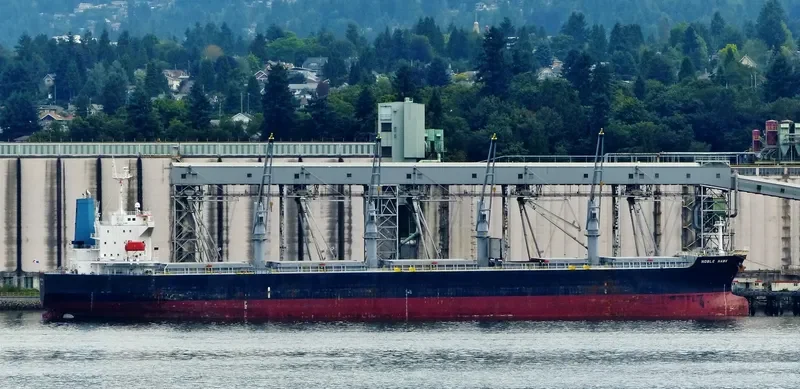 BAO CHUAN Bulk Carrier IMO 9331933 photo 10