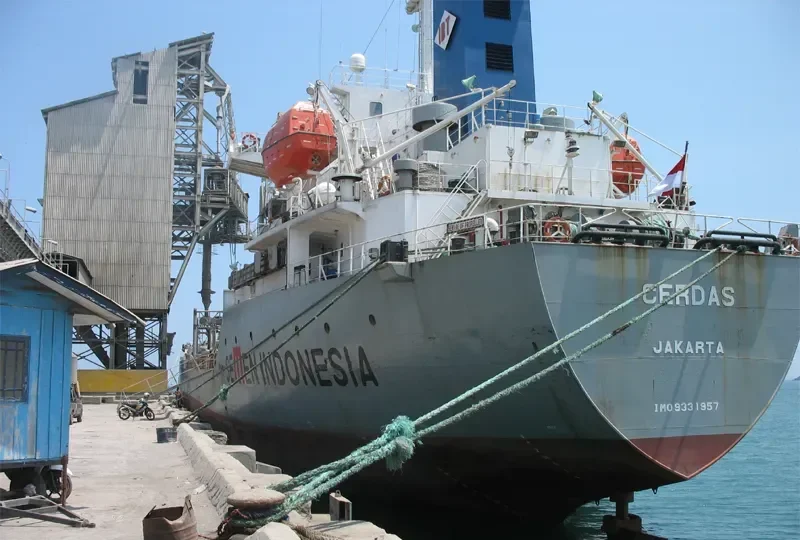 CERDAS General Cargo IMO 9331957