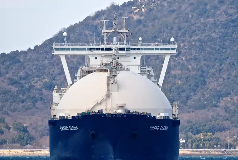 GRAND ELENA General Cargo IMO 9332054 photo 3