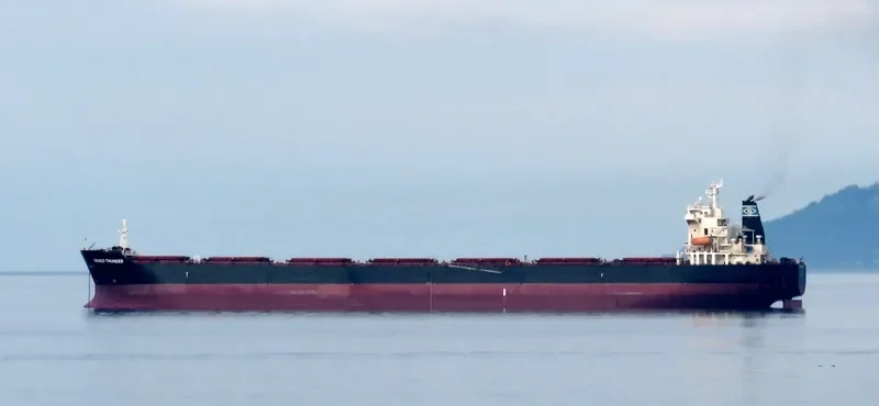GENCO THUNDER Bulk Carrier IMO 9332212 photo 3