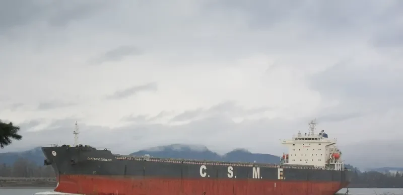 CAPTAIN P.EGGLEZOS Bulk Carrier IMO 9332224 photo 2