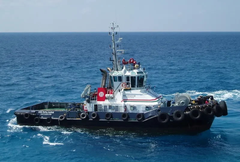 CMM PAPALOAPAN General Cargo IMO 9332339