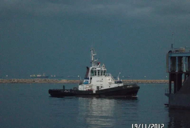 CAP SIGLI General Cargo IMO 9332365 photo 5