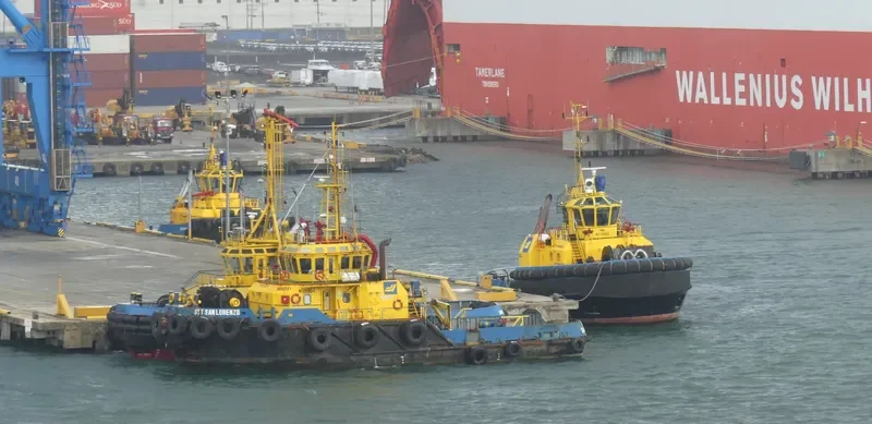 SAAM SAN LORENZO General Cargo IMO 9332468