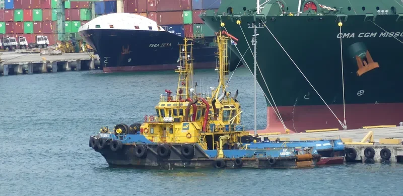 SAAM SAN LORENZO General Cargo IMO 9332468 photo 2