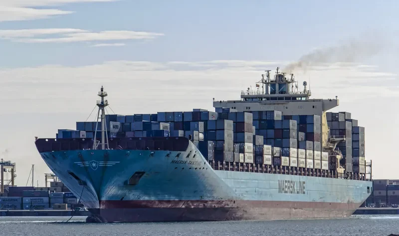 MAERSK TANJONG Container Ship IMO 9332511 photo 5