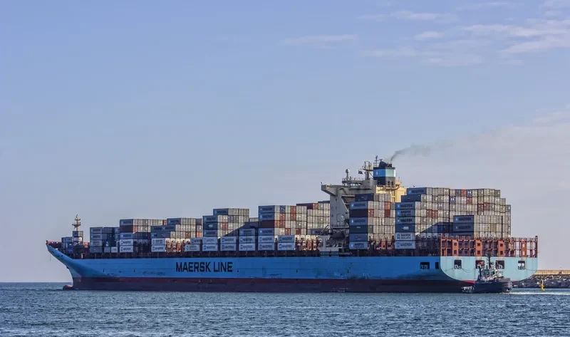 MAERSK TANJONG Container Ship IMO 9332511 photo 6