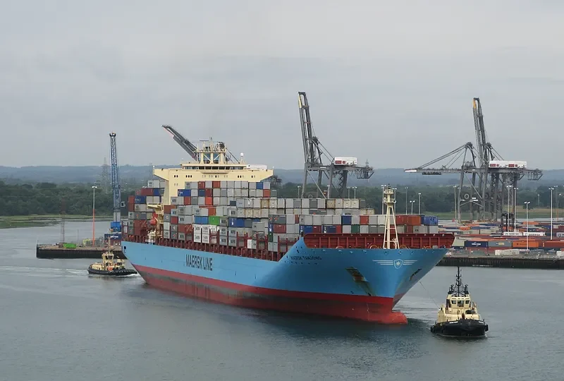 MAERSK TANJONG Container Ship IMO 9332511 photo 8