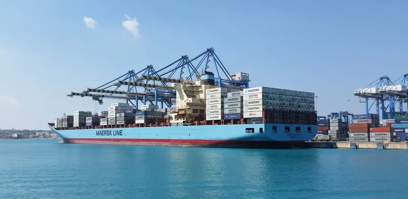 MAERSK TANJONG Container Ship IMO 9332511 photo 9