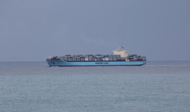 MAERSK TANJONG Container Ship IMO 9332511 photo 10