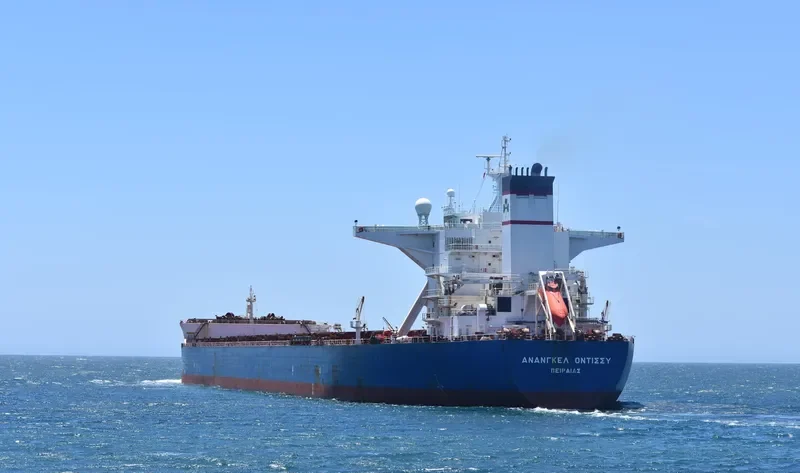 ANANGEL ODYSSEY Bulk Carrier IMO 9332523 photo 2