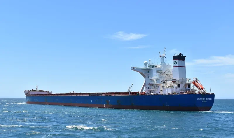 ANANGEL ODYSSEY Bulk Carrier IMO 9332523 photo 3