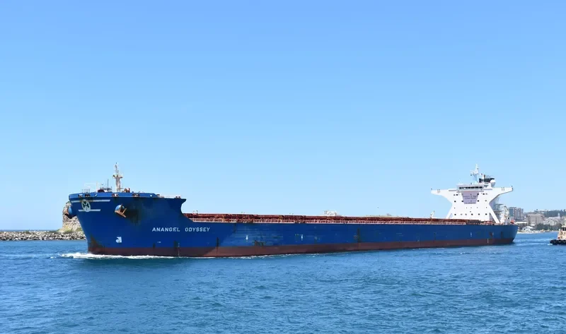 ANANGEL ODYSSEY Bulk Carrier IMO 9332523 photo 4