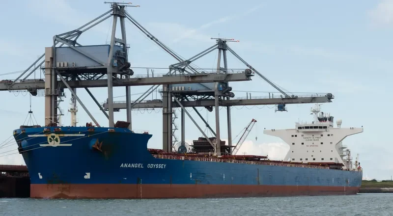 ANANGEL ODYSSEY Bulk Carrier IMO 9332523 photo 7