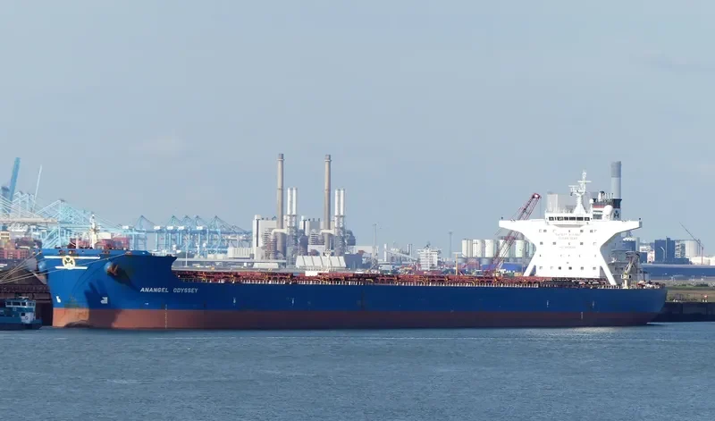 ANANGEL ODYSSEY Bulk Carrier IMO 9332523 photo 8