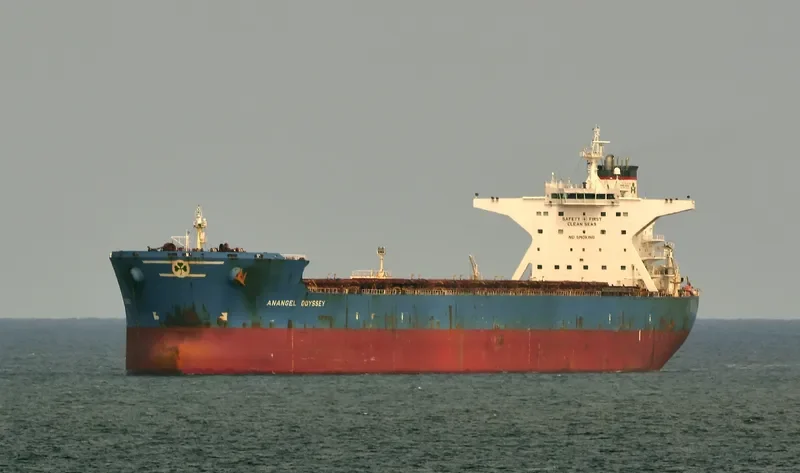 ANANGEL ODYSSEY Bulk Carrier IMO 9332523 photo 9