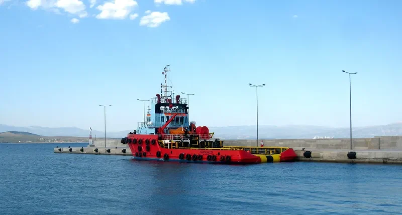 PANTANASSA Offshore Vessel IMO 9332561 photo 5
