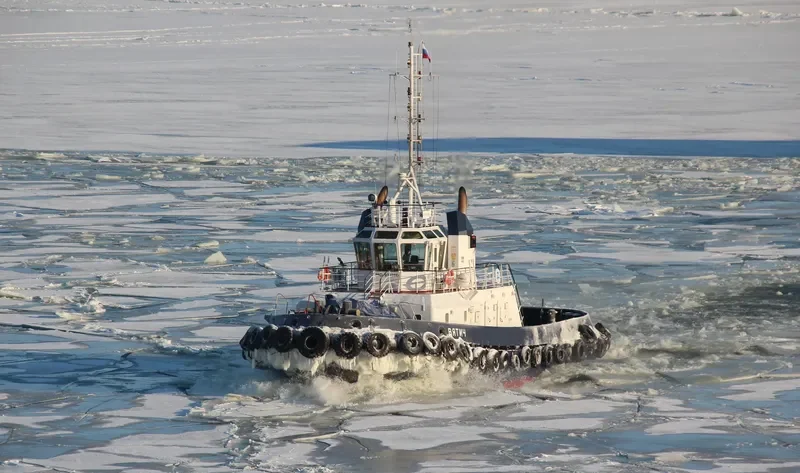 VYATICH General Cargo IMO 9332664 photo 9