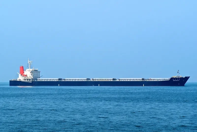 ISHIZUCHI Bulk Carrier IMO 9332793 photo 5