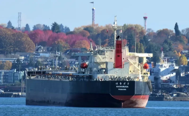 HANABUSA Bulk Carrier IMO 9332808 photo 2