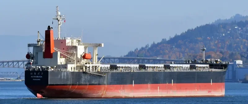 HANABUSA Bulk Carrier IMO 9332808 photo 4