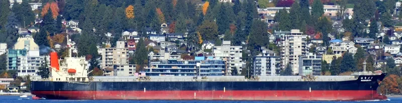 HANABUSA Bulk Carrier IMO 9332808 photo 5