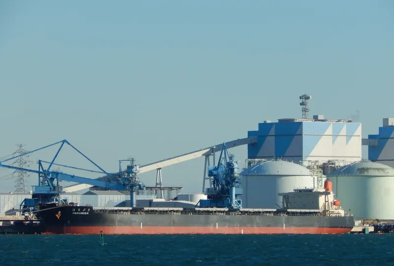 HANABUSA Bulk Carrier IMO 9332808 photo 7
