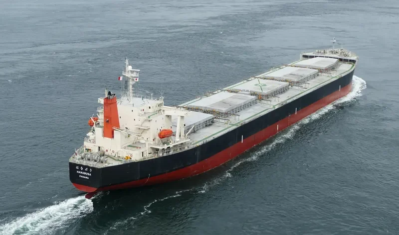 HANABUSA Bulk Carrier IMO 9332808 photo 8