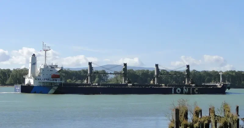 IONIC STORM Bulk Carrier IMO 9332963 photo 6