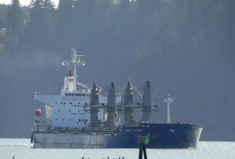 IONIC STORM Bulk Carrier IMO 9332963 photo 7
