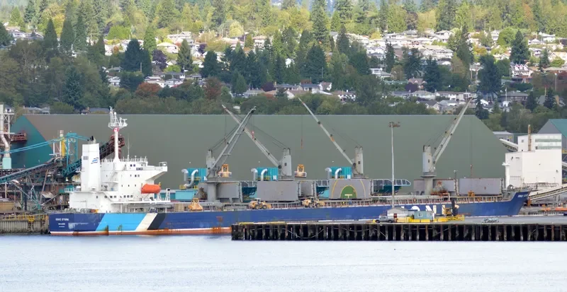 IONIC STORM Bulk Carrier IMO 9332963 photo 10