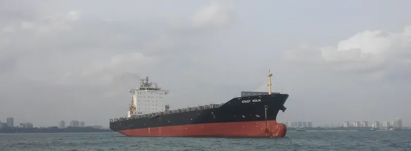SPHENE Container Ship IMO 9333058 photo 5