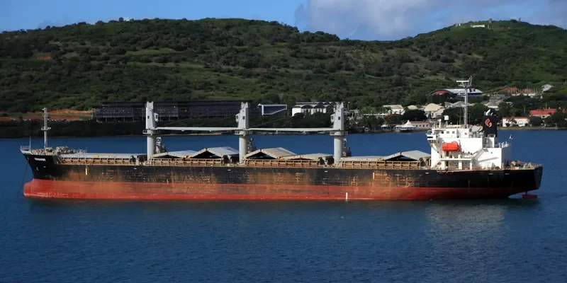 DONIAMBO Bulk Carrier IMO 9333101 photo 2