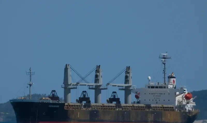 DONIAMBO Bulk Carrier IMO 9333101 photo 4
