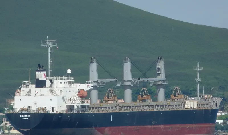 DONIAMBO Bulk Carrier IMO 9333101 photo 5
